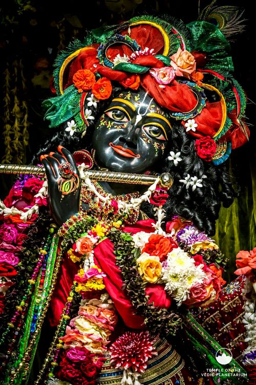 krishna pics for dp