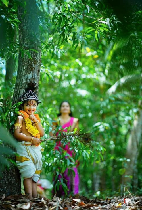krishna pics for dp
