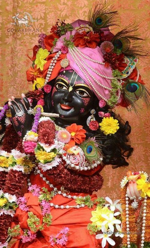krishna pics for dp