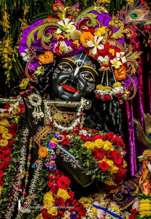 krishna pics for dp