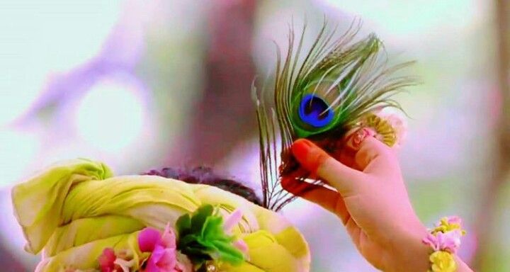 krishna pics for dp