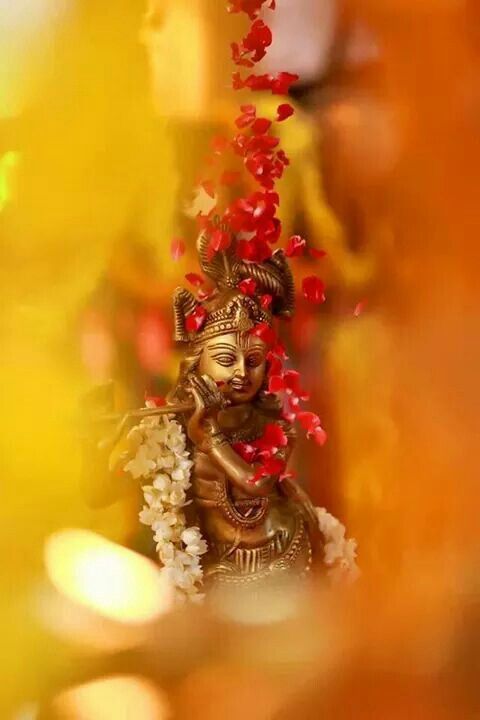 krishna pics for dp