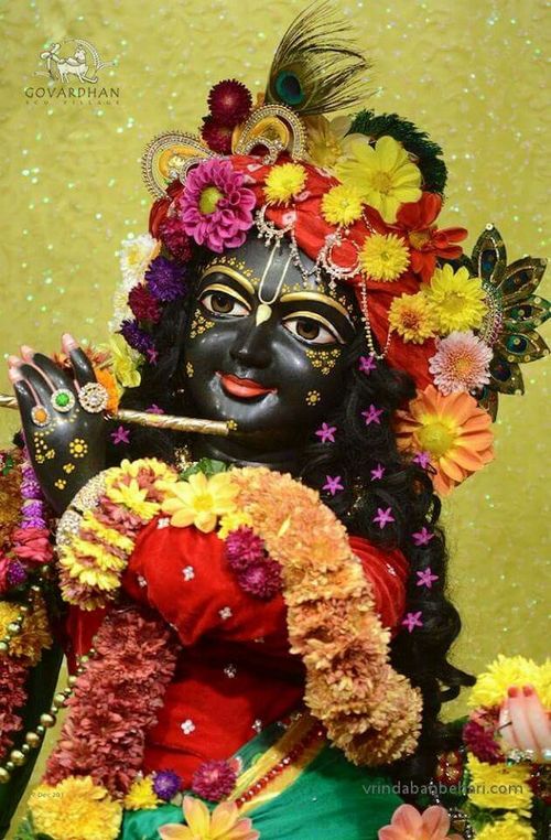 krishna pics for dp