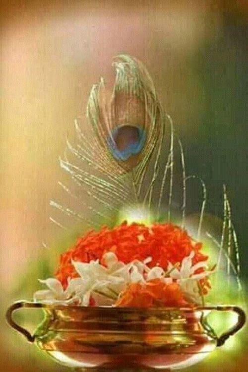 krishna pics for dp