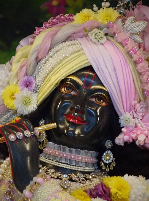 krishna pics for dp