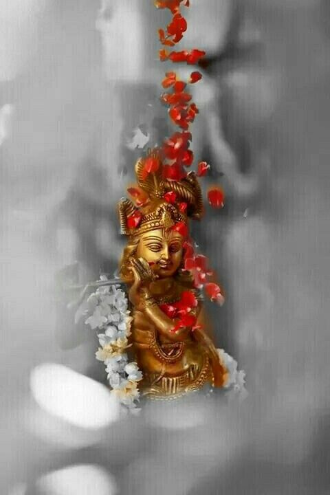 krishna pics for dp