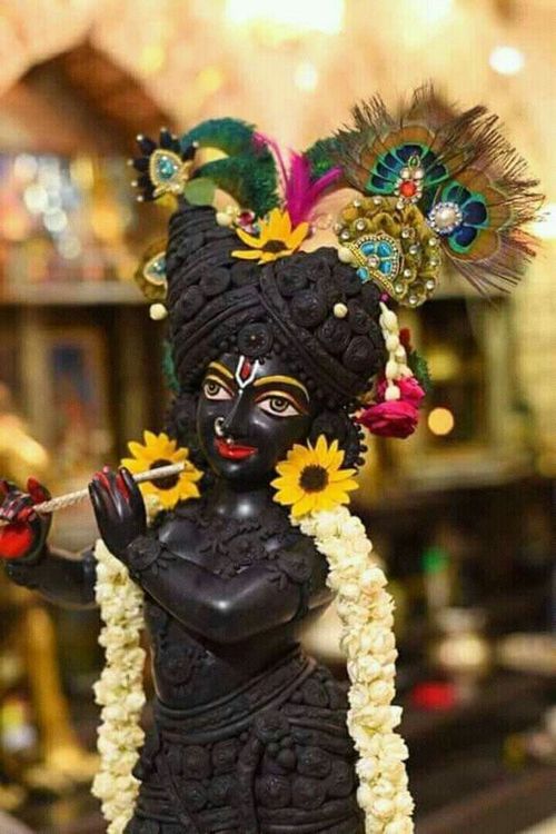 krishna pics for dp