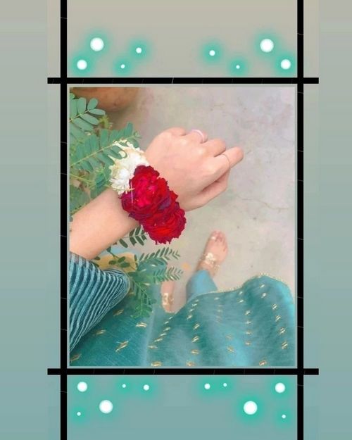 standard whatsapp dp
