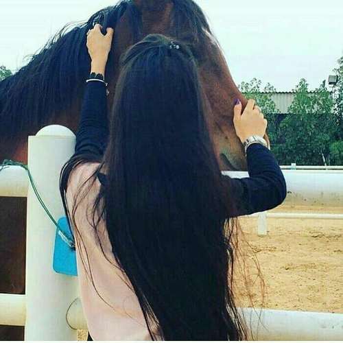 standard whatsapp dp