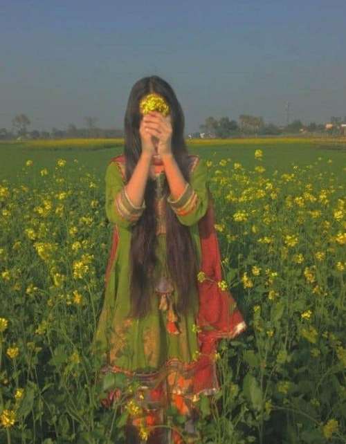 standard whatsapp dp