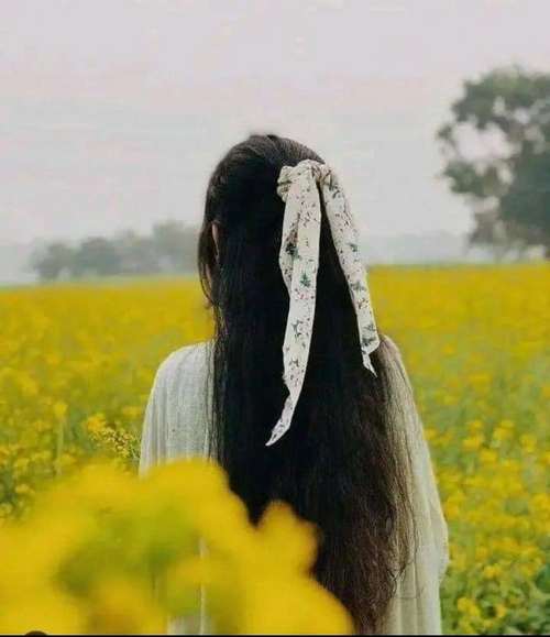 standard whatsapp dp