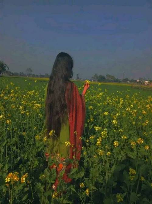 standard whatsapp dp