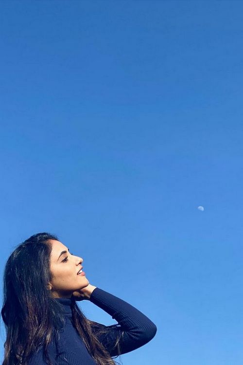 standard whatsapp dp